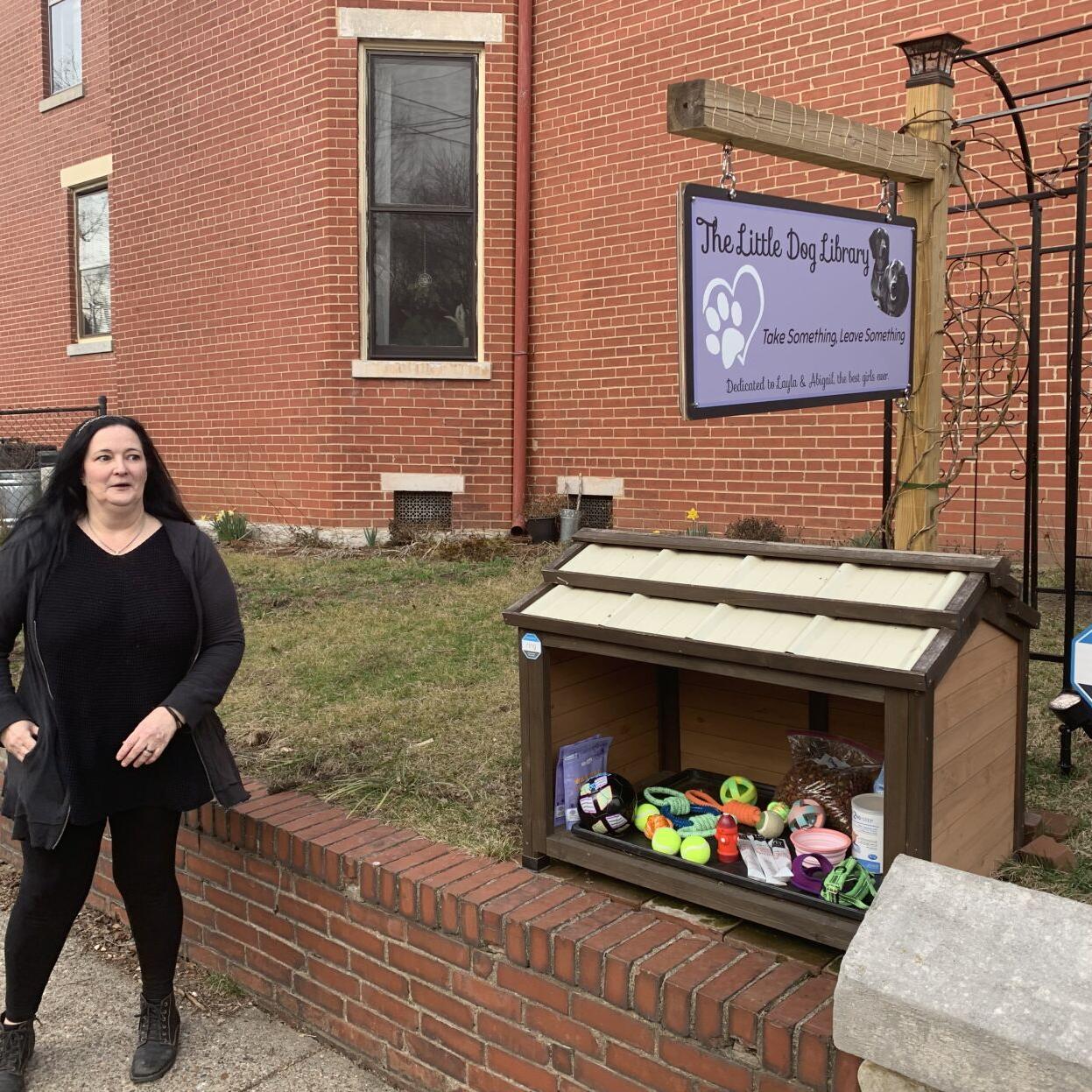 Little Dog Library